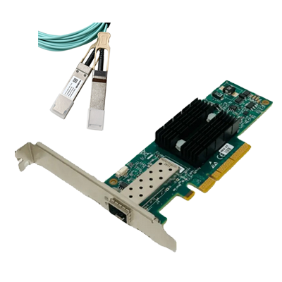 InfiniBand & Ethernet Adapter Card